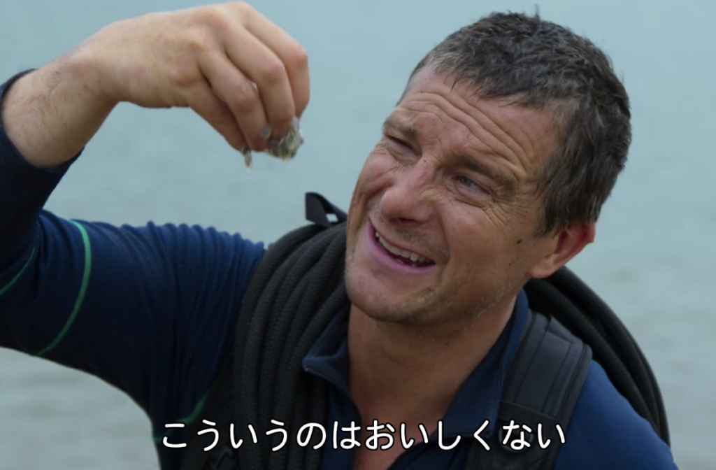 You Vs Wild Netflixでベアグリルスと共に冒険しよう 感想あらすじ Have A Good Job