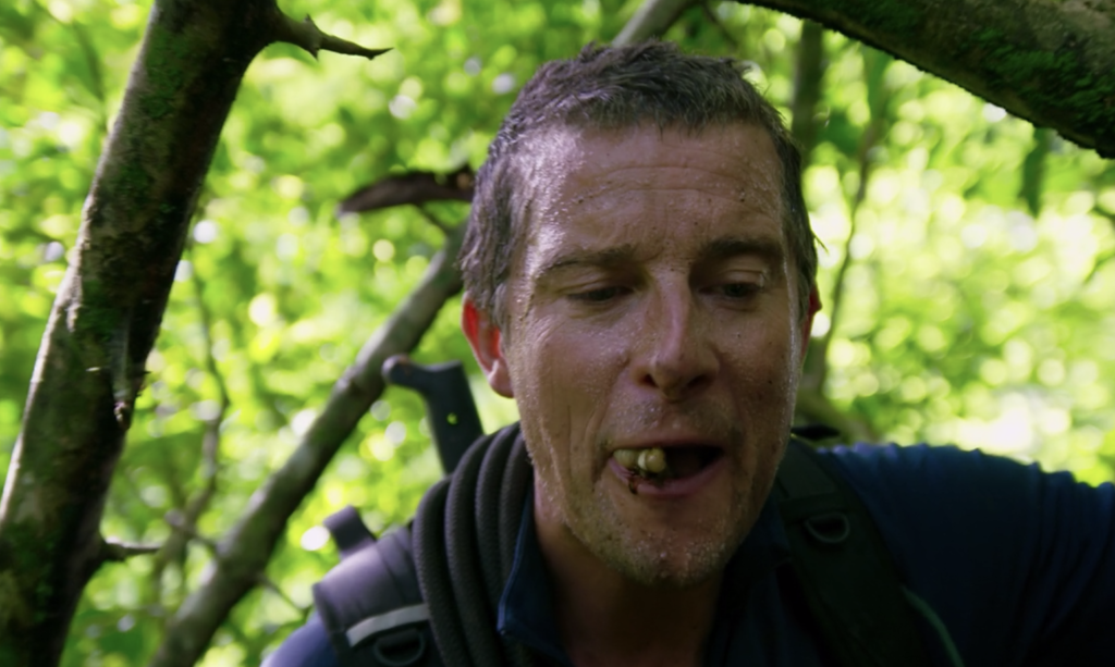 You Vs Wild Netflixでベアグリルスと共に冒険しよう 感想あらすじ Have A Good Job